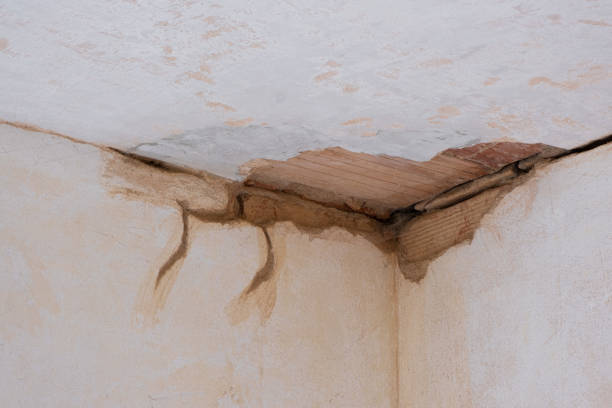 Best Emergency water damage restoration  in Watsessing, NJ