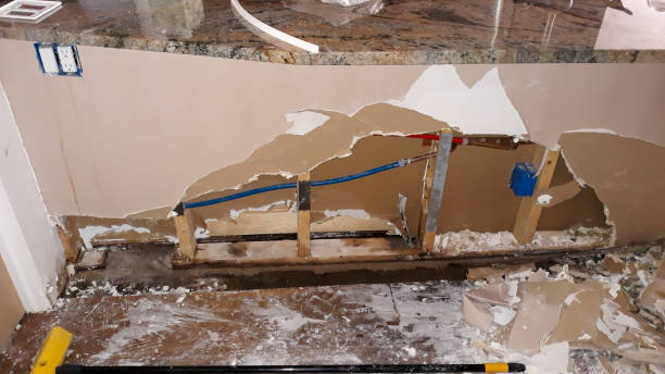 Best Water damage restoration experts  in Watsessing, NJ