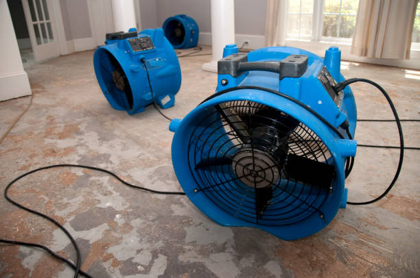  Watsessing, NJ Water damage restoration Pros