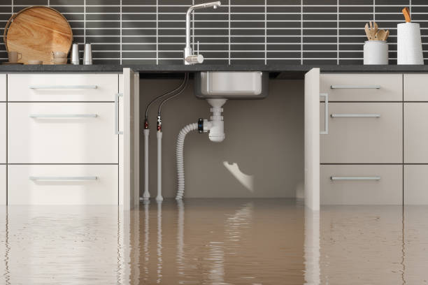 Best Emergency water damage restoration  in Watsessing, NJ